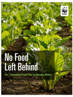 No Food Left Behind, Part 1: Underutilized Produce Ripe for Alternative Markets Brochure