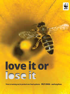 PSA: Image of a bee on a hive with the line 'love it or lose it'