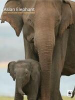 Asian Elephant: WWF Wildlife and Climate Change Series Brochure