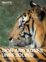 Skin and Bones Unresolved: An analysis of tiger seizures from 2000-2018 Brochure