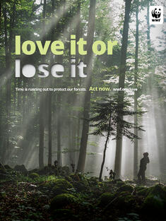 PSA: Image of a forest with the line 'love it or lose it'