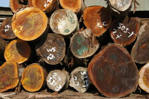 Legally harvested timber
