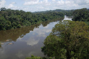 Jarí River