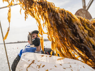 Matt Moretti on board ship harvests kelp off coast of Maine