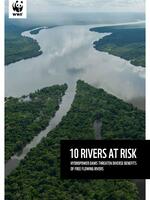 10 Rivers at Risk Brochure