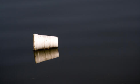 Polystyrene cup floating in water