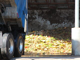 truck and fruit