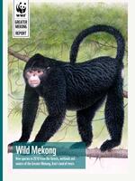 Wild Mekong: New species in 2010 from the forests, wetlands and waters of the Greater Mekong, Asia’s land of rivers Brochure