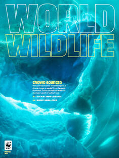 World Wildlife Magazine Winter 2021 cover