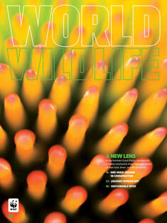 World Wildlife Magazine Fall 2021 cover