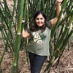 Afsoon Namini surrounded by bamboo