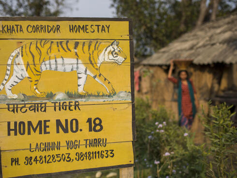 A bright yellow sign identifies a tiger corridor