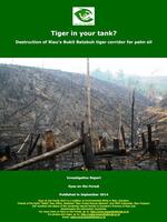 Tiger in Your Tank? Brochure