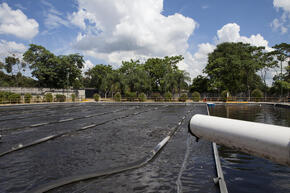 The water treatment plant at Cervecería Hondureña, where Coca-Cola is bottled in San Pedro Sula, Honduras.