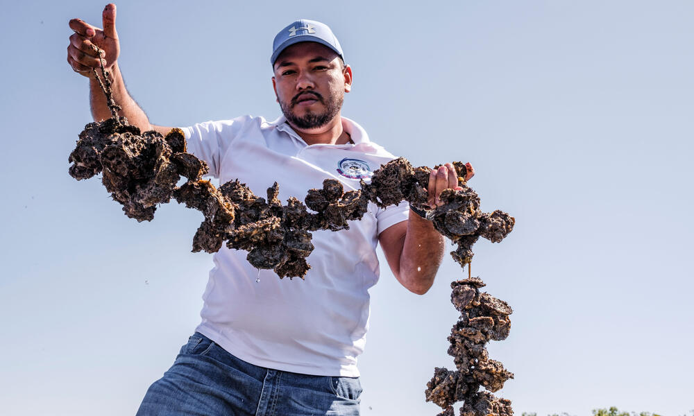 Pedro Alfonso Lopez Gonzalez holds a string of oysters on a sunny day