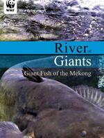 River of Giants: Giant Fish of the Mekong  Brochure