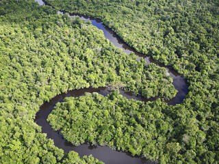 Aerial shot of the Amazon with a winding river, Loreto region, Peru.