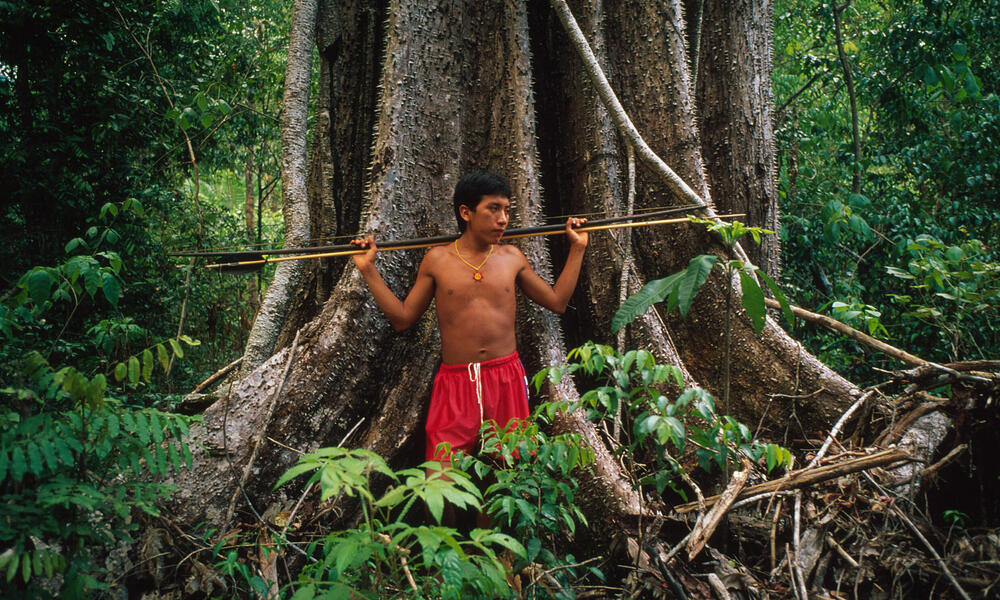 Yanomami hunter with bow and arrow by a tree in rainforest near to Demini Molaca