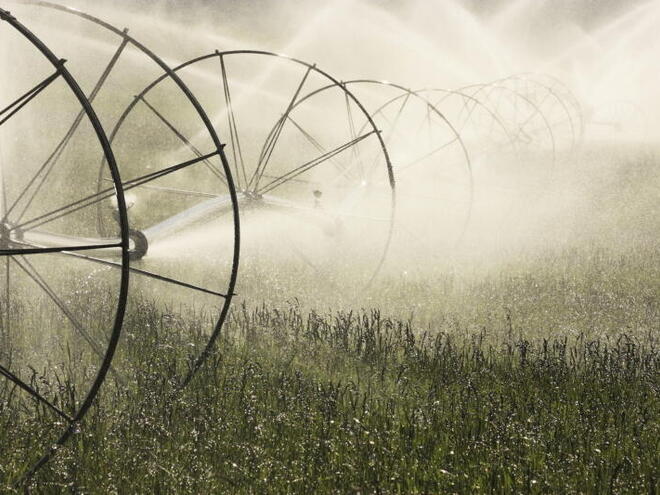 Irrigation Sprinkler Spraying Water on Farm Field