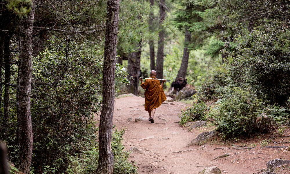 A Buddhist monk walking down a path.