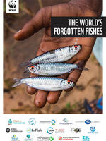 The World's Forgotten Fishes Brochure