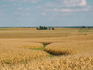 Iowa agricultural land.