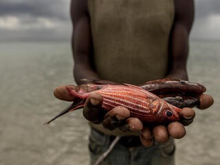 Man holding fish in hands