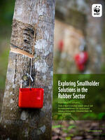 Exploring Smallholder Solutions in the Rubber Sector Brochure