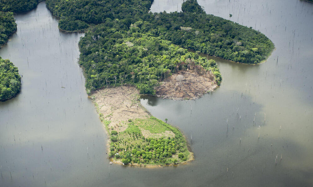 An aerial view of deforestation in the Amazon. 