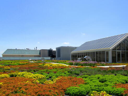 Green roof at WWF headquarters, Washington D.C.