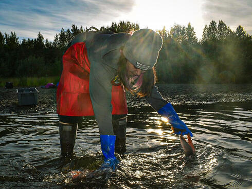 Allie Ivanoff washes cuts of pink salmon in a river to hang dry