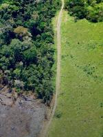 Using Public Data Platforms to Assess Deforestation Risks Within Jurisdictions Brochure