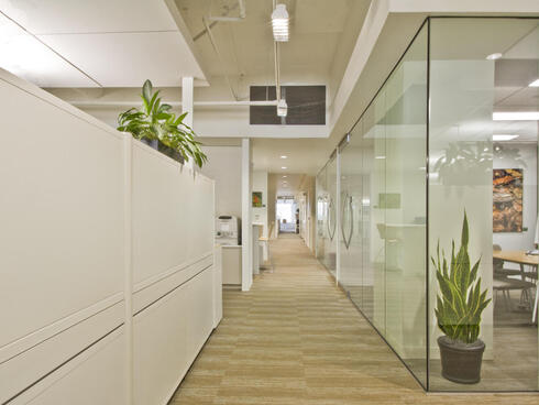 WWF green office space