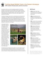 Tackling Illegal Wildlife Trade in the Eastern Himalayas Brochure