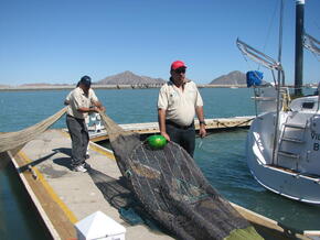 Testing Alternative Fishing Gear to Reduce Bycatch. 
