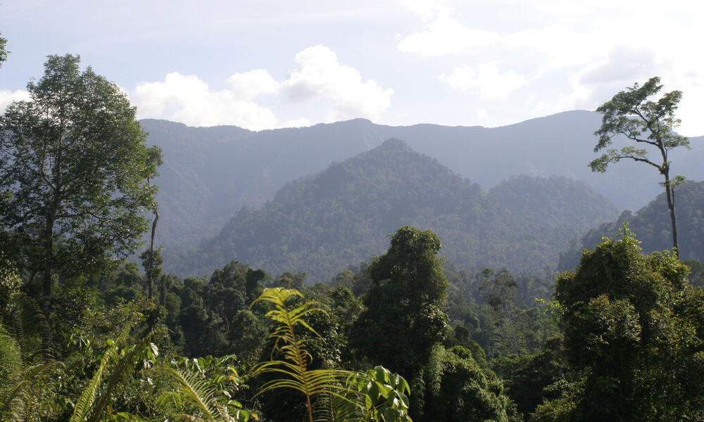 Borneo and Sumatra