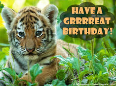 Birthday ecard with cute baby tiger