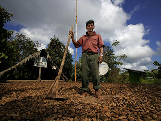 A sustainable Brazil nut farmer standing amongst his drying brazil nuts.