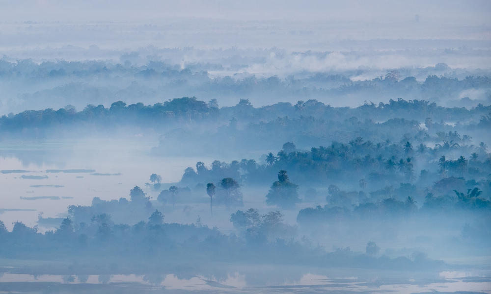 foggy forest in Myanmar