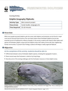 Wild Classroom Dolphin Social Studies Activity Preview Page