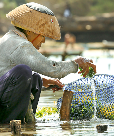 Kneeling woman farming seaweed
