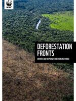 Deforestation Fronts: Drivers and Responses in a Changing World - Summary Brochure