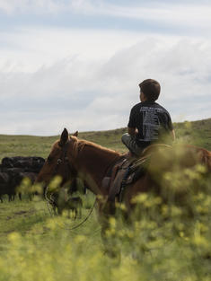 Riding a horse in Nebraska, United States