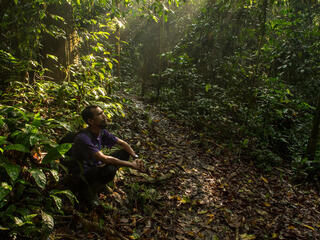 A man sits on the forest floor looking up while the sun shines down through the leaves