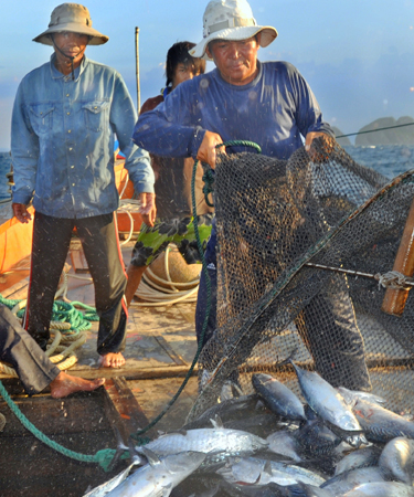 Fishermen unloading catch