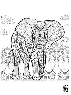 Wild Classroom African Elephant Coloring Page