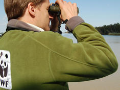 WWF staff with binoculars