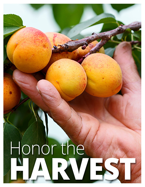 Honor The Harvest Poster Brochure