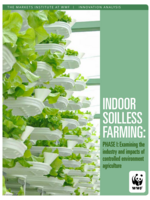 Indoor Soilless Farming:  Phase I: Examining the  industry and impacts of  controlled environment  agriculture Brochure