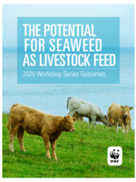 The Potential for Seaweed as Livestock Feed, Workshop Report 2020 Brochure